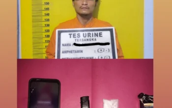 Sebanyak 6,84Gram, Pengedar Narkoba Berhasil DiTangkap Unit Reskrim Polsek Tambusai