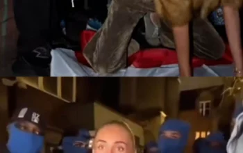 Tak Kapok Dideportasi, Bonnie Blue Kembali Diduga Hina Bendera Indonesia dan Budaya Bali