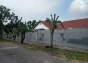 Pohon Sekitaran Aryaduta Ditebang OTK, DLHK Pekanbaru Pastikan Proses Pelaku