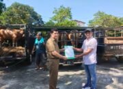 Sekda Kampar Terima Bantuan Sapi Qurban PT Anugerah Sawit Sejahtera, Wujud Kepedulian Perusahaan Tuai Apresiasi