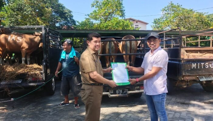 Sekda Kampar Terima Bantuan Sapi Qurban PT Anugerah Sawit Sejahtera, Wujud Kepedulian Perusahaan Tuai Apresiasi