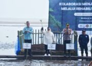Hadir Hari Mangrove Sedunia, Kasmarni: Mari Kita Tanam Mangrove sebagai Langkah Nyata Jaga Kelestarian Ekosistem dan Benteng Pesisir