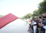 Semarak Pacu Jalur Mini di Pulau Aro, Muklisin Ajak Generasi Muda Jaga Tradisi